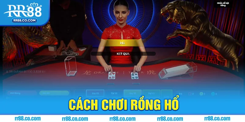 Cách Chơi Rồng Hổ Tại RR88 – Hướng Dẫn Chi Tiết Cho Tân Thủ